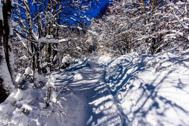 Campogrosso çevresindeki ağaçlar ve dağların tepeleri arasında beyaz kar ve Recoaro Terim Vicenza Veneto İtalya 'da güneş ışınları.