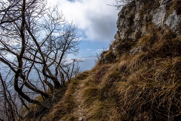 Formações Rochosas Caminhos Entre Rochas Árvores Nuas Com Vista Para — Fotografia de Stock