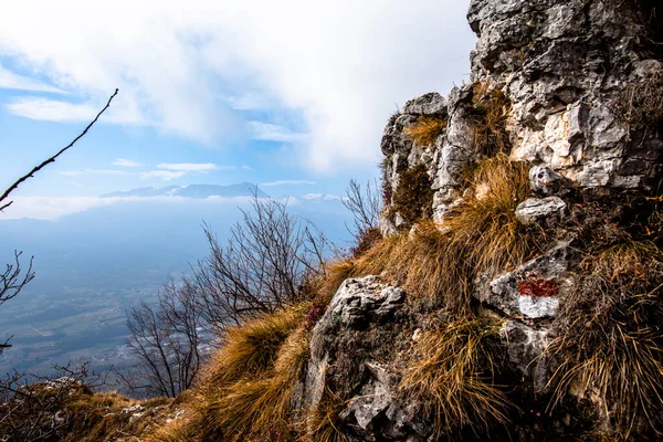 Astico Vadisi Manzaralı Kayalar Çıplak Ağaçlar Arasındaki Kaya Oluşumları Yollar — Stok fotoğraf
