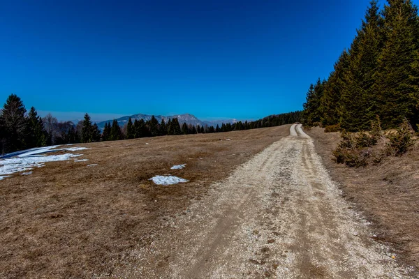 Country Road Leads Away Pasture Meadows Woods Lusiana Asiago Vicenza — Stock Photo, Image