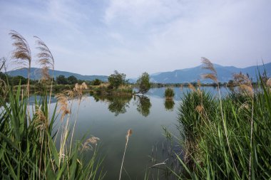 view of the peat bogs of Salino near Lake Iseo Lombardy Italy with the trees reflected in the placid water of the marshes the hills in the background and the blue sky
