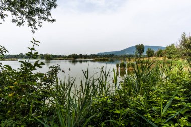 view of the peat bogs of Salino near Lake Iseo Lombardy Italy with the trees reflected in the placid water of the marshes the hills in the background and the blue sky
