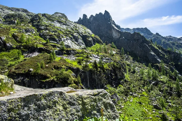 picchi di granito su cielo azzurro e nuvole bianche con valli e prati verdi facendo treckking e hiking o scalndo sulle cime Dell Lagorai a Trento Italia