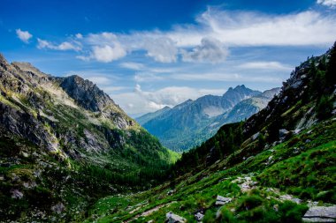 Lagorai Dağları 'nın yeşil vadileri arasında mavi gökyüzü ile köknar ağaçları ve beyaz bulutlar ve Trento İtalya' daki Lagorai 'de granit vadileri arasında uzanan patika.