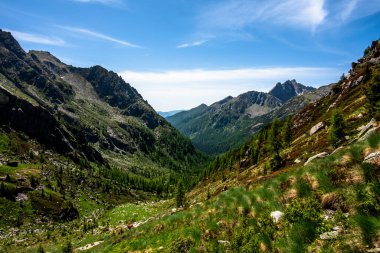 Lagorai Dağları 'nın yeşil vadileri arasında mavi gökyüzü ile köknar ağaçları ve beyaz bulutlar ve Trento İtalya' daki Lagorai 'de granit vadileri arasında uzanan patika.