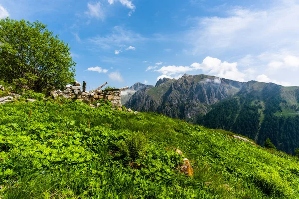 Verlassene Und Halb Zerstörte Almhütte Zwischen Den Weiden Und Den — Stockfoto