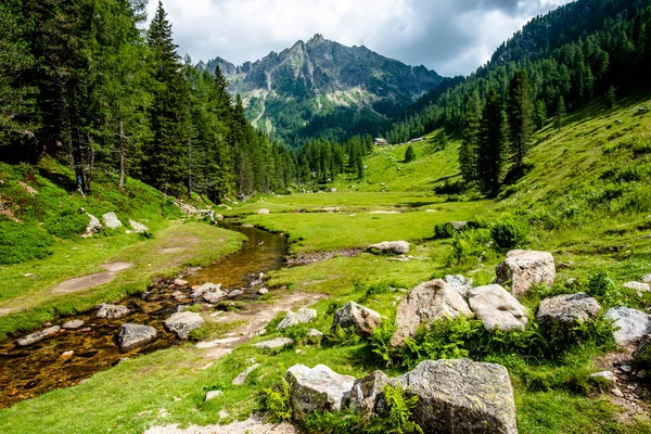 Paradiso Alpino Piccola Valle Con Torrente Alpino Tra Cime Del — Foto Stock