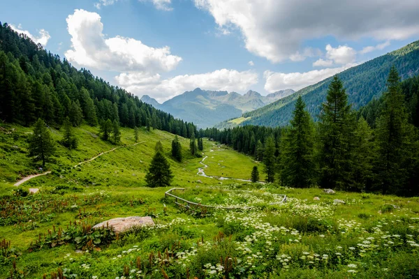 Alpines Paradies Kleines Tal Mit Gebirgsbach Zwischen Den Gipfeln Der — Stockfoto