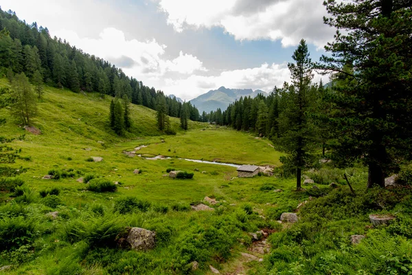 Val Campelle Trento İtalya 'sındaki Lagorai dağ sırasının zirveleri arasında alp deresi olan küçük bir vadi.