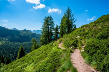 Lagorai Dağları 'nın granit tepeleri arasındaki yollar yeşil vadiler ve İtalya' daki mavi gökyüzü.