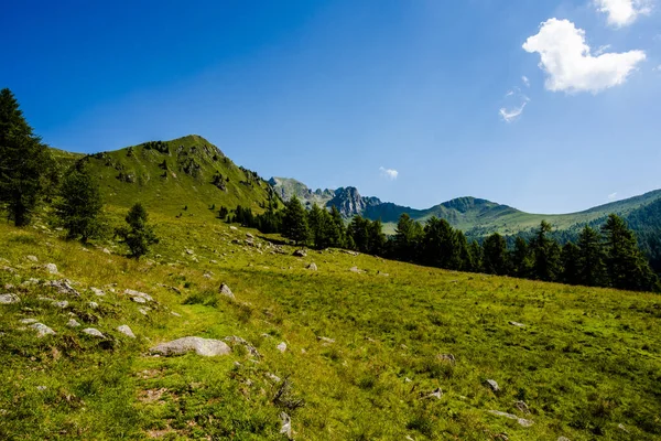 Wege Zwischen Den Granitgipfeln Der Lagorai Bergkette Mit Grünen Tälern — Stockfoto