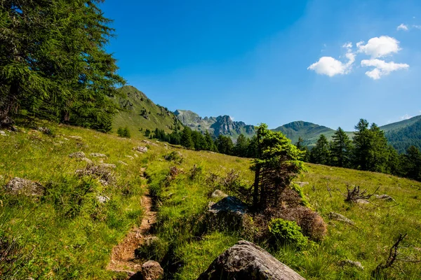 Ścieżki Wśród Granitowych Szczytów Pasma Górskiego Lagorai Zielonymi Dolinami Błękitnym — Zdjęcie stockowe