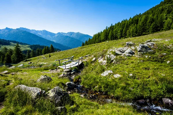 Wege Zwischen Den Granitgipfeln Der Lagorai Bergkette Mit Grünen Tälern — Stockfoto