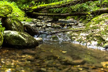 Veneto İtalya 'nın Vicenza ilindeki Lusiana' da bir sonbahar ormanının ortasında kayalar ve taşlar arasında akan temiz suyla dolu bir dereyi kapatın.