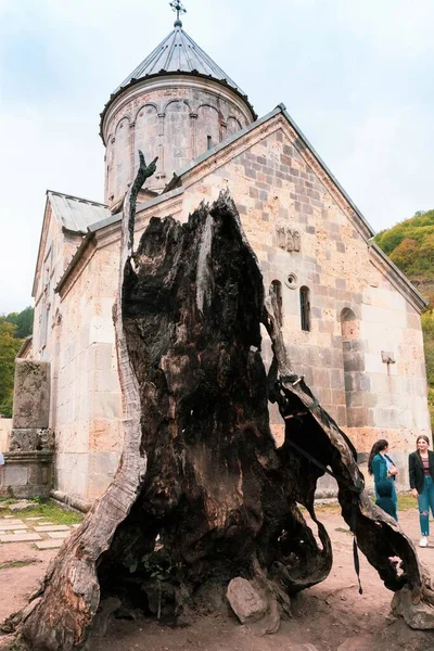 アルメニア ハガーティン 2021年9月 修道院の中庭に焦げた欲望の木の遺跡 — ストック写真
