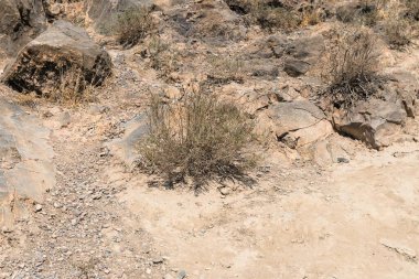 Ermenistan, Khor Virap, Eylül 2021. Dağ doğal arka planda taşlar ve otlar.