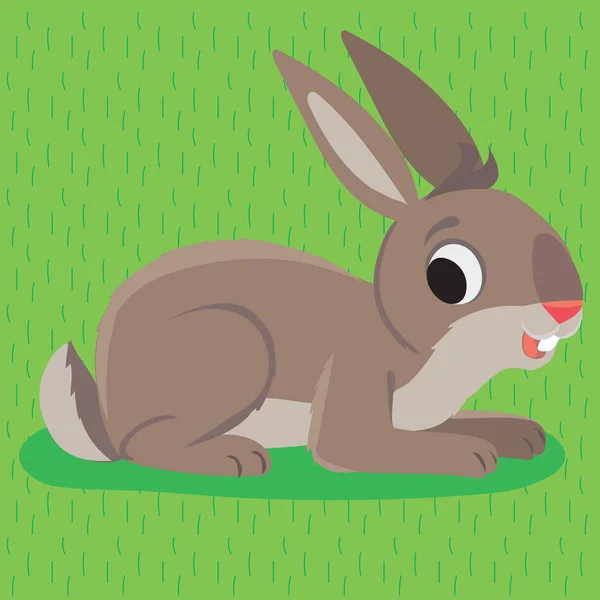 토끼는 이무성 초원에 — 스톡 벡터