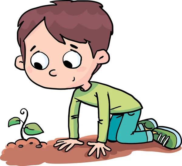 Мальчик Смотрит Растущее Растение — стоковый вектор
