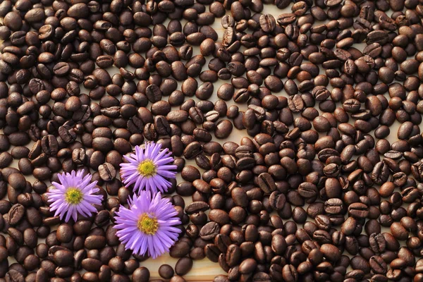 Flowers on the coffee — Stock Photo, Image