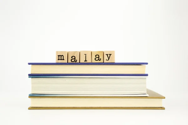 Malay dili word ahşap pullar ve kitaplar — Stok fotoğraf