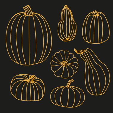 Sıraya dizilmiş bir balkabağı.