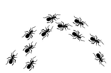 Karınca izi, vektör çizimi