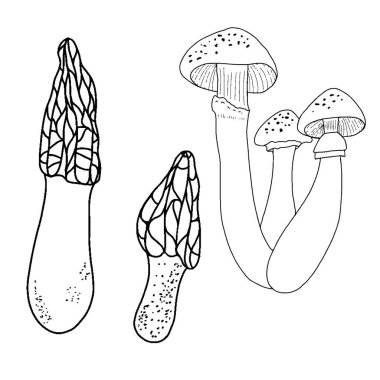 Robot resim tarzında mantarlar. Vektör izole edildi.