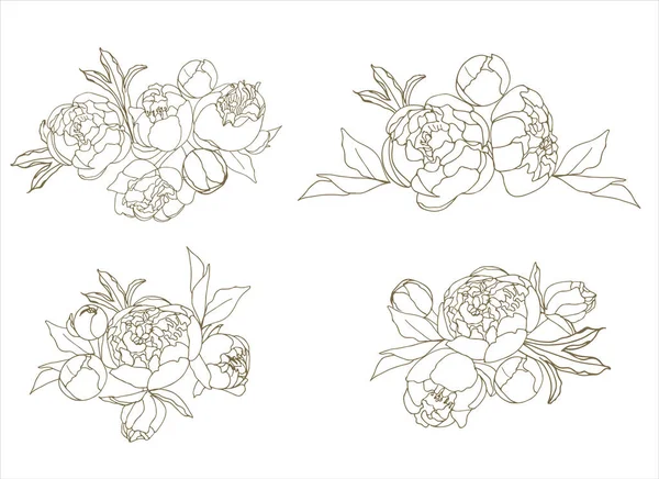 Bordure Florale Bouquet Pivoines — Image vectorielle