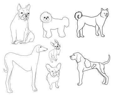 Köpek seti, çizgi sanatı..