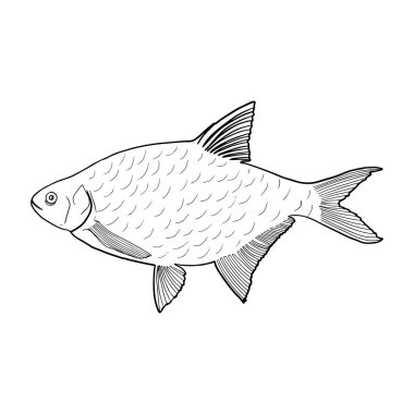 Halattaki balıklar izole edildi. 