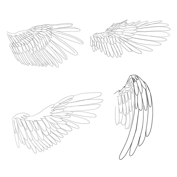 Birds Wings Line Style Angels Wings — 스톡 벡터