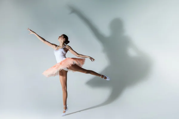 Ballet performance — Stock Photo, Image
