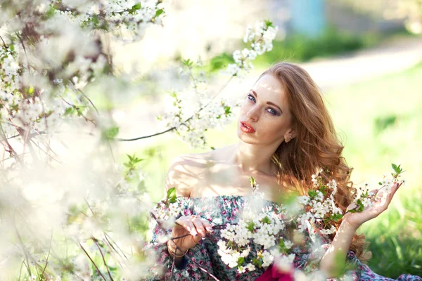 Sunny spring — Stock Photo, Image