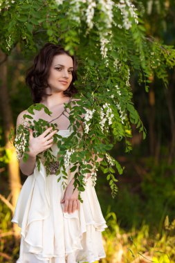 çiçek açan akasya