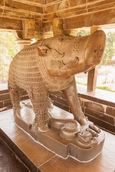 yaban domuzu varaha taş heykeli. Khajuraho, Hindistan