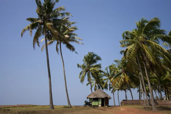 imtiyaz stand ve bir motosiklet palm Grove.