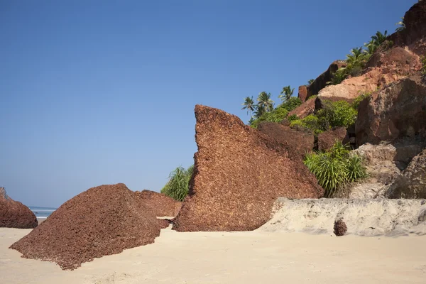 Grote een shell rock op het strand. — Stockfoto