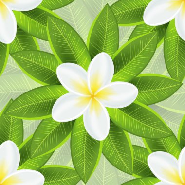 Bahar ekolojik arka plan güzel beyaz çiçek ve taze yaprak ile