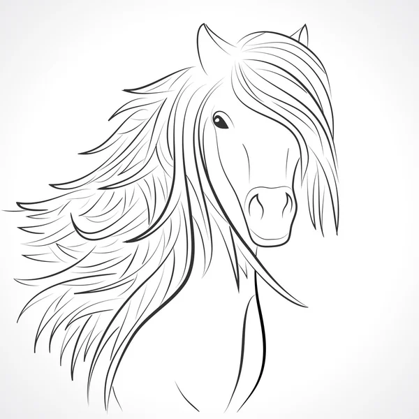 Sketch of horse head with mane on white. Vector — Stock Vector