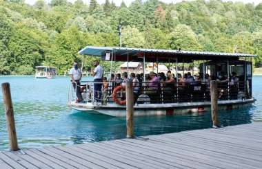 Hırvatistan 'daki pltvcke ulusal parkındaki suya bakış