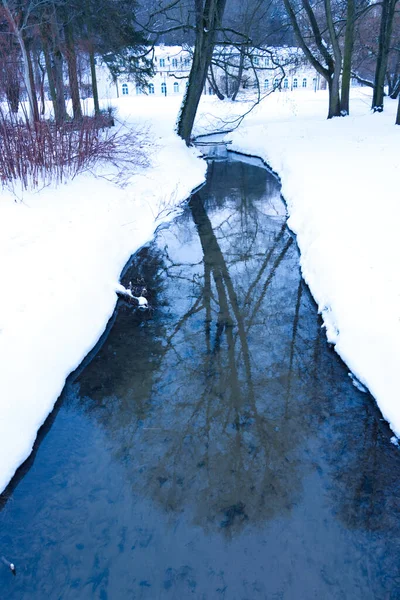 Återspegling Träd Blå Ström Som Flyter Genom Vinterlandskapet — Stockfoto