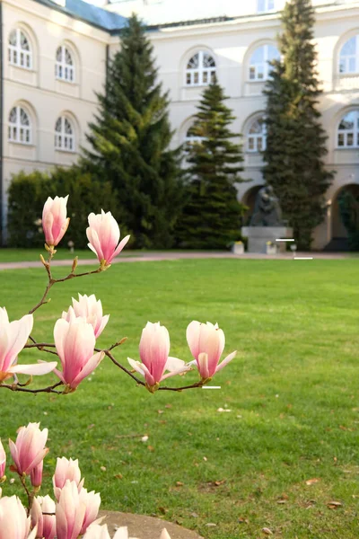 Lublin Polen April 2022 Hof Der Katholischen Universität Johannes Paul — Stockfoto