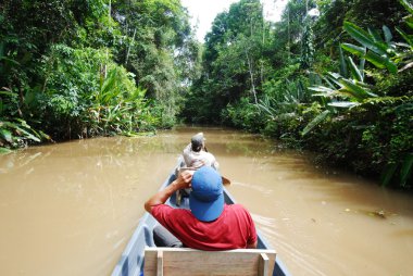 Paddling in Amazon rainforest, Ecuador clipart