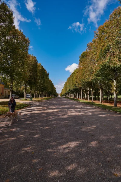 Paris, Fransa yakınlarındaki Versailles Sarayı 'nın (Versailles Şatosu) bahçeleri. Muhteşem Kraliyet Sarayı UNESCO 'nun Dünya Mirasları listesine eklendi