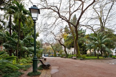 bazilika da estrela, lisbon, Portekiz