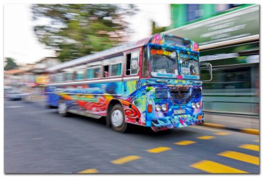 normal halk otobüsü sri lanka