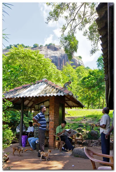 People in yard — Stock Photo, Image