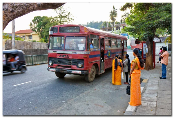 Regelbundna bussar sri lanka — 图库照片