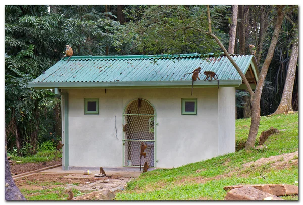 Antigua casa — Foto de Stock