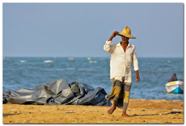 Sri lanka, negombo Balık pazarı